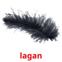 lagan picture flashcards