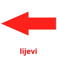 lijevi picture flashcards