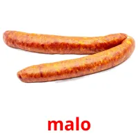 malo picture flashcards