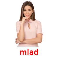 mlad picture flashcards