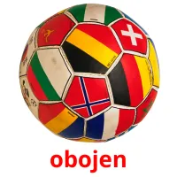 obojen picture flashcards