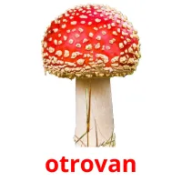 otrovan picture flashcards