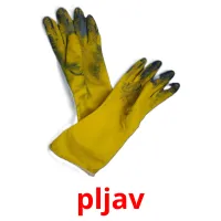 pljav picture flashcards