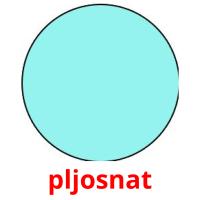 pljosnat picture flashcards