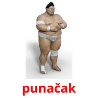 punačak picture flashcards