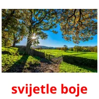 svijetle boje picture flashcards