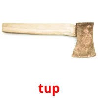 tup picture flashcards