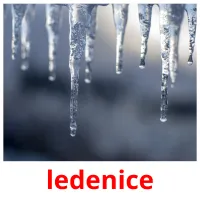 ledenice picture flashcards