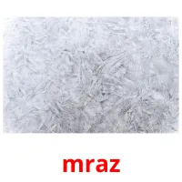 mraz picture flashcards