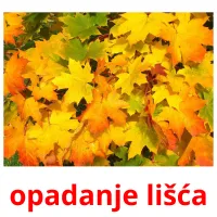 opadanje lišća picture flashcards