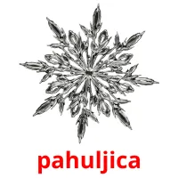 pahuljica picture flashcards