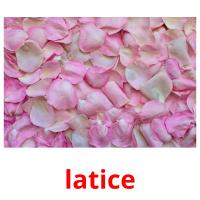 latice card for translate