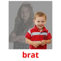 brat picture flashcards