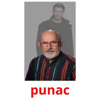 punac picture flashcards