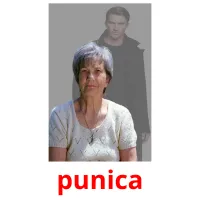 punica picture flashcards