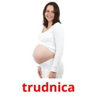 trudnica picture flashcards