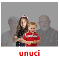 unuci picture flashcards