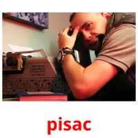 pisac picture flashcards