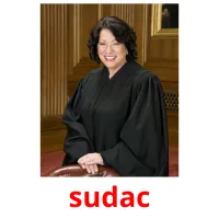 sudac picture flashcards