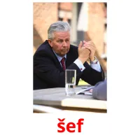 šef picture flashcards