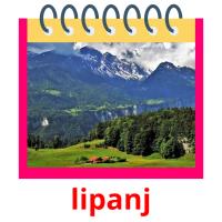 lipanj picture flashcards