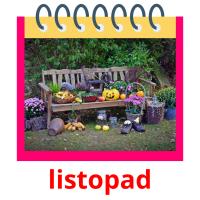 listopad picture flashcards