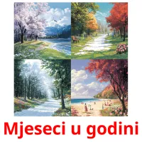 Mjeseci u godini picture flashcards