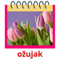 ožujak picture flashcards