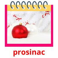 prosinac picture flashcards