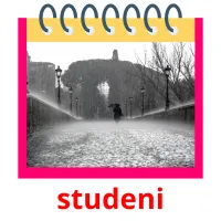 studeni picture flashcards