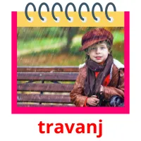 travanj picture flashcards