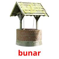 bunar picture flashcards