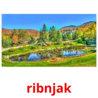 ribnjak picture flashcards