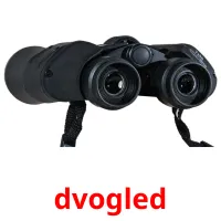 dvogled карточки энциклопедических знаний
