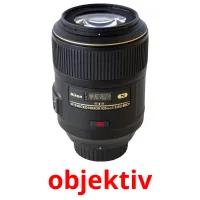 objektiv карточки энциклопедических знаний