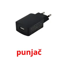 punjač карточки энциклопедических знаний