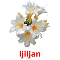 ljiljan card for translate