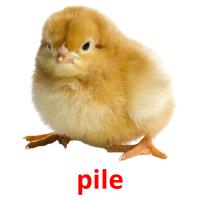 pile picture flashcards