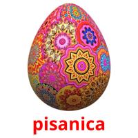 pisanica card for translate