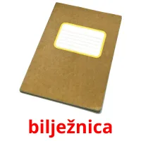 bilježnica picture flashcards