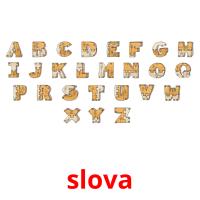 slova cartões com imagens
