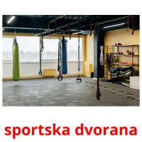 sportska dvorana cartes flash