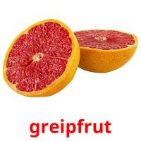 greipfrut flashcards illustrate