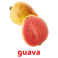 guava picture flashcards