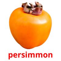 persimmon flashcards illustrate