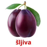 šljiva picture flashcards