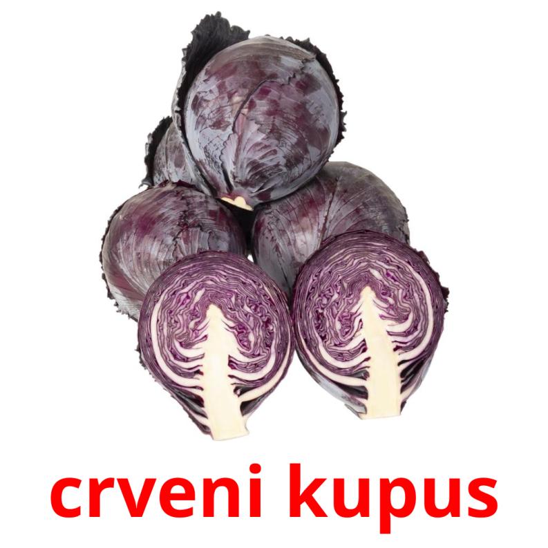 29 FREE Vegetables Flashcards | PDF | Croatian Words