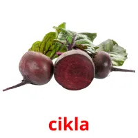 cikla picture flashcards