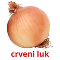 crveni luk picture flashcards