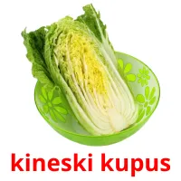 kineski kupus picture flashcards